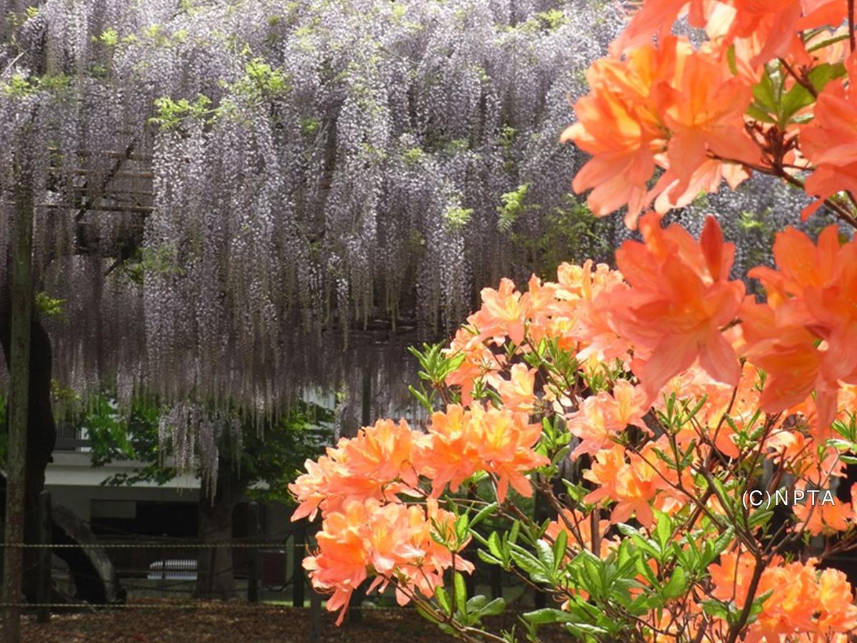 Le Grand Kyu Karuizawa Hotel Екстериор снимка